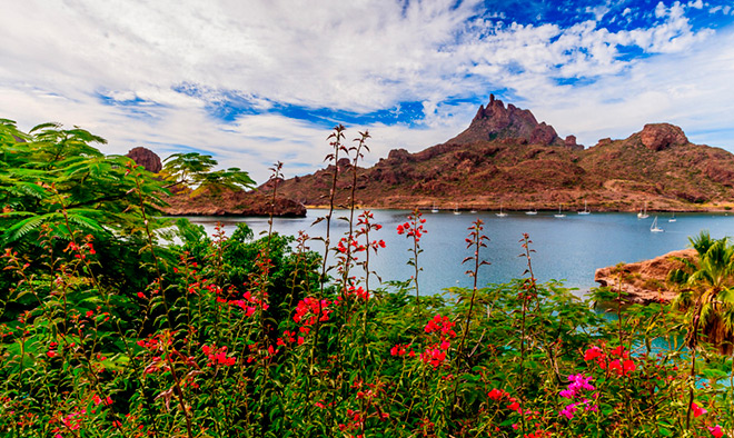 Visita a la región de San Carlos, Sonora