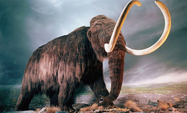 ¿Los clovis cazaban mamuts?